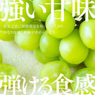 【発送月固定定期便】【人気セット】星乃フルーツ 桃+シャインマスカット全2回【配送不可地域：離島・北海道・沖縄県】【4067234】