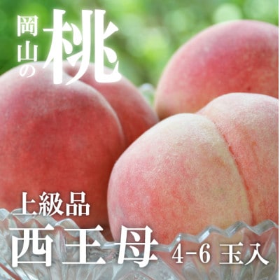 【2026年先行予約】女神の名を持つ希少な晩生桃、西王母(上級品)4-6玉入(岡山県産)【配送不可地域：離島】【1696629】