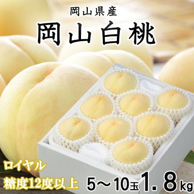 【先行受付】岡山白桃 ロイヤル 5〜10玉 1.8kg 岡山県産【配送不可地域：離島・北海道・沖縄県】【1305703】