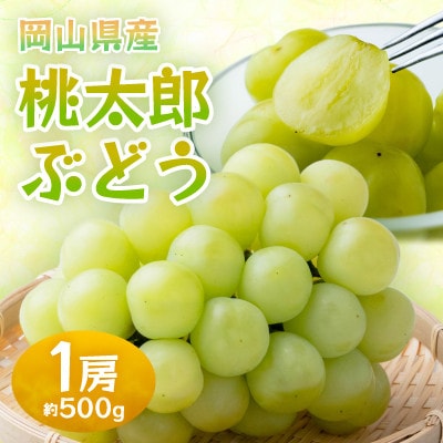 【2026年発送】岡山県産桃太郎ぶどう　1房・約500g(クール便)【配送不可地域：離島】【1614358】