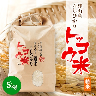 【突鉱土育ち】津山産トッコウ米(こしひかり)5kg【1361991】
