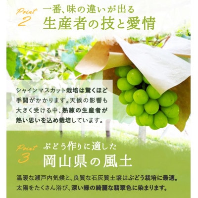 縲仙郁。悟女莉倥大イ。螻ア逵檎肇 繧キ繝」繧、繝ウ繝槭せ繧ォ繝繝医取匐邇九2謌ソ(1謌ソ480g莉・荳) 蛹也イァ邂ア蜈・繧翫宣埼∽ク榊庄蝨ー蝓滂シ夐屬蟲カ繝サ蛹玲オキ驕薙サ豐也ク逵後代1499104縲