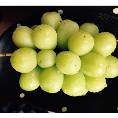 岡山çãååé«åç£ãã·ã£ã€ã³ãã¹ã«ããã1æ¿å
¥ã(650g以äž)ããèŽçåã1151380ã