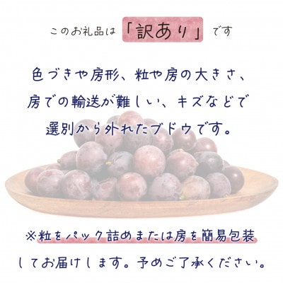 【2026年先行受付】岡山　花笑み農園の 『訳ありニューピオーネ』1kg　WP-1【配送不可地域：離島・北海道・沖縄県】【1628312】
