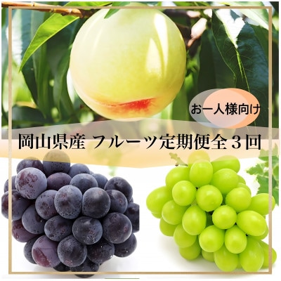 【発送月固定定期便】岡山県産 フルーツ定期便〈お一人様向け〉全3回【配送不可地域：離島・北海道・沖縄県】【4066370】