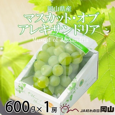【2026年6月下旬より順次発送】岡山県産 マスカット・オブ・アレキサンドリア 600g×1房【配送不可地域：離島・北海道・沖縄県】【1362223】