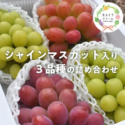 【2026年先行予約】ぶどう3品種詰合せ(シャインマスカット入)3-5房/計2.4kg〜(岡山県産)【配送不可地域：離島】【1678569】