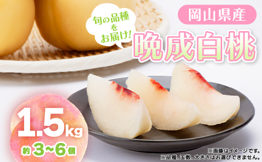 【先行予約2026年9月上旬頃より発送予定】しっかりした果肉と果汁たっぷり岡山の白桃(1.5kg箱)【配送不可地域：離島】【1713731】