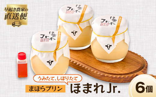うみたて、しぼりたてまほらプリン ほまれJr【配送不可地域：離島】【1033448】