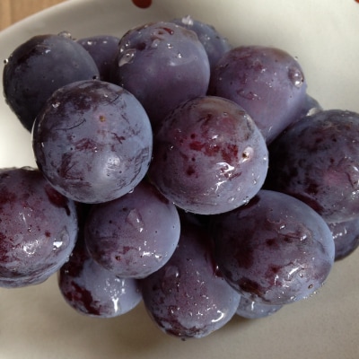 æ°é®®ã»ææ¡ãåŸå³åºè·!ã岡山çãååé«åç£ãã¥ãŒããªãŒãã2kgç®±(3ã4æ¿å
¥)ãèŽçåã1299812ã