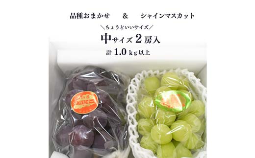 岡山県産ぶどう２種！こだわりのシャインマスカットとおまかせ葡萄 中サイズ2房入 ぶどう ブドウ シャインマスカット 社員マスカット 葡萄 デザート フルーツ 果物 くだもの 果実 食品 TY0-0840