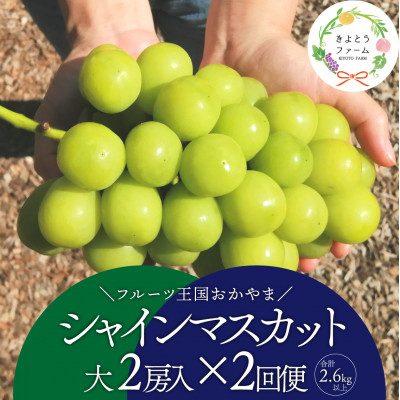 ãçºéæåºå®å®æäŸ¿ãã2026幎å
è¡äºçŽãã·ã£ã€ã³ãã¹ã«ãã倧2æ¿ã®æºè¶³äŸ¿/å
šäŸ¿èš2.6kgãå
š2åãé
éäžå¯å°åïŒé¢å³¶ãã4065361ã