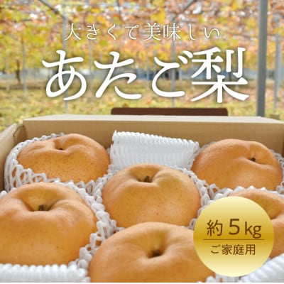 【2026年先行予約】あたご梨 ご家庭用/約5kg(岡山県産) お歳暮 和梨 冬の果物【1566274】