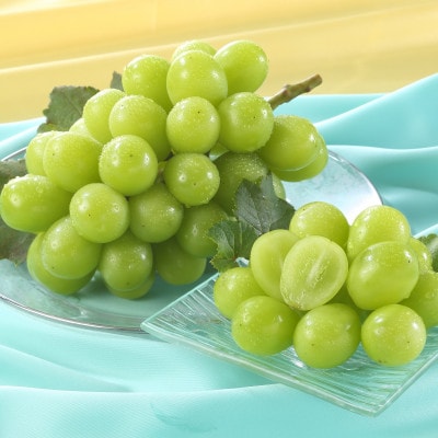 岡山県産　秋のシャインマスカット　1房【冷蔵】2026年発送【配送不可地域：離島・北海道・沖縄県】【1709333】