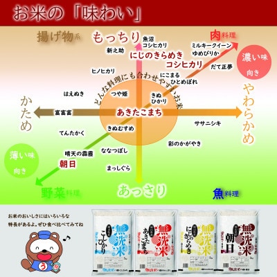 【無洗米】令和7年産 岡山県産 にじのきらめき 5kg×2袋(合計10kg)【1717518】