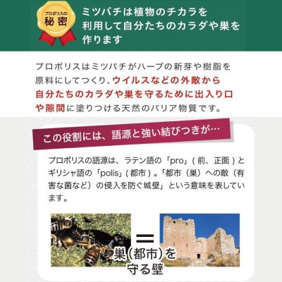 縲先ッ取怦螳壽悄萓ソ縲代励Ο繝昴Μ繧ケ邊 (486)蜈ィ6蝗槭4086621縲