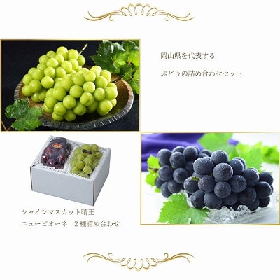 【2026年6月下旬より順次発送】岡山県産 シャインマスカット晴王・ニューピオーネLサイズ詰合せ【配送不可地域：離島・北海道・沖縄県】【1308717】