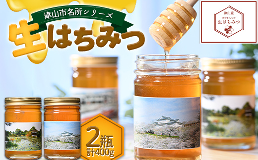 津山市名所シリーズ 生はちみつ200g×2瓶 ハチミツ 蜂蜜 調味料 はちみつ 加工品 食品 TY0-0584