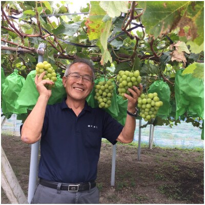 SUMU シャインマスカット・プレミアム 2024(750ml)【1719272】