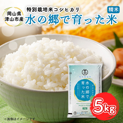 【岡山県津山市加茂町産】水の郷で育った米5kg(特別栽培米コシヒカリ)【1297142】