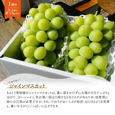 【発送月固定定期便】【2026年先行予約】シャインマスカット大2房と梨2-3種上級品(岡山産)全2回【配送不可地域：離島】【4067496】