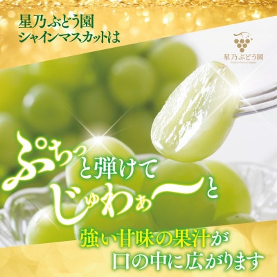 縲蝉ク峨▽譏溘ヶ繝ゥ繝ウ繝峨第弌荵繧キ繝」繧、繝ウ繝槭せ繧ォ繝繝 謨ー驥城剞螳 (蟯。螻ア逵檎肇) 1謌ソ(650g莉・荳)縲宣埼∽ク榊庄蝨ー蝓滂シ夐屬蟲カ繝サ蛹玲オキ驕薙サ豐也ク逵後代1746014縲