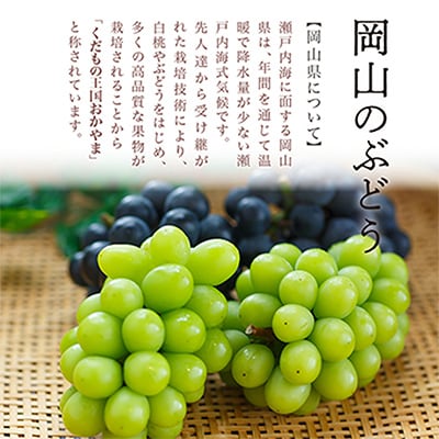 【先行受付】岡山県産マスカットオブアレキサンドリア1房(秀品以上・700g以上)化粧箱入り【配送不可地域：離島・北海道・沖縄県】【1150087】