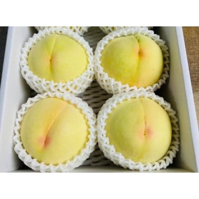 【先行受付|8月上旬頃より順次発送】岡山県ブランド『清水白桃』　約1kg(3~4玉)【配送不可地域：離島・北海道・沖縄県】【1726908】