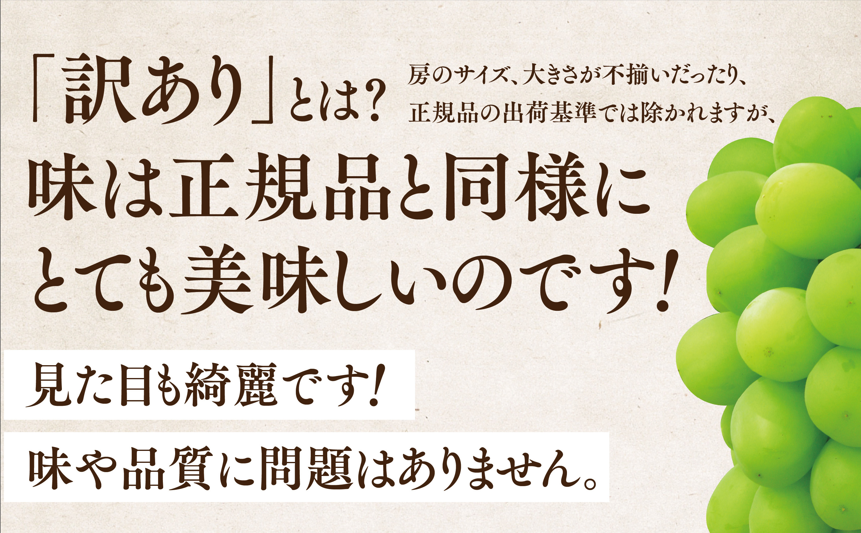 å
è¡åä»ãèš³ãããæä¹ã·ã£ã€ã³ãã¹ã«ãã 1.7kg 3æ¿ã5æ¿ãé
éäžå¯å°åïŒé¢å³¶ã»åæµ·éã»æ²çžçãã1554836ã