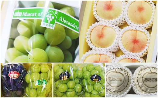 ãçºéæåºå®å®æäŸ¿ã岡山çç£ ãã«ãŒãå®æäŸ¿å
š5åãé
éäžå¯å°åïŒé¢å³¶ã»åæµ·éã»æ²çžçãã4075035ã