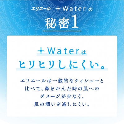 繧ィ繝ェ繧ィ繝シ繝ォ+Water繝繧」繧キ繝・繝シ180W5P縲1681084縲