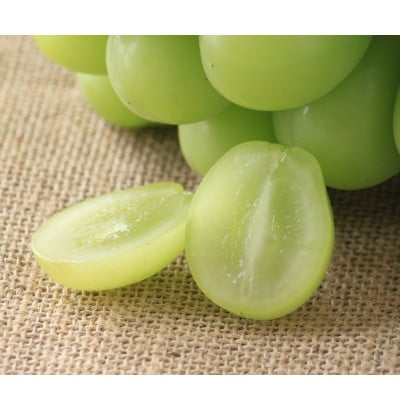 岡山県産　秋のシャインマスカット　1房【冷蔵】2026年発送【配送不可地域：離島・北海道・沖縄県】【1709333】