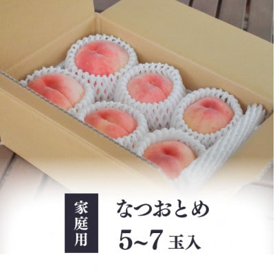 【2026年先行予約】乙女のような可愛い甘い桃  「なつおとめ」家庭用 5-7玉入(岡山県産)【配送不可地域：離島】【1571603】