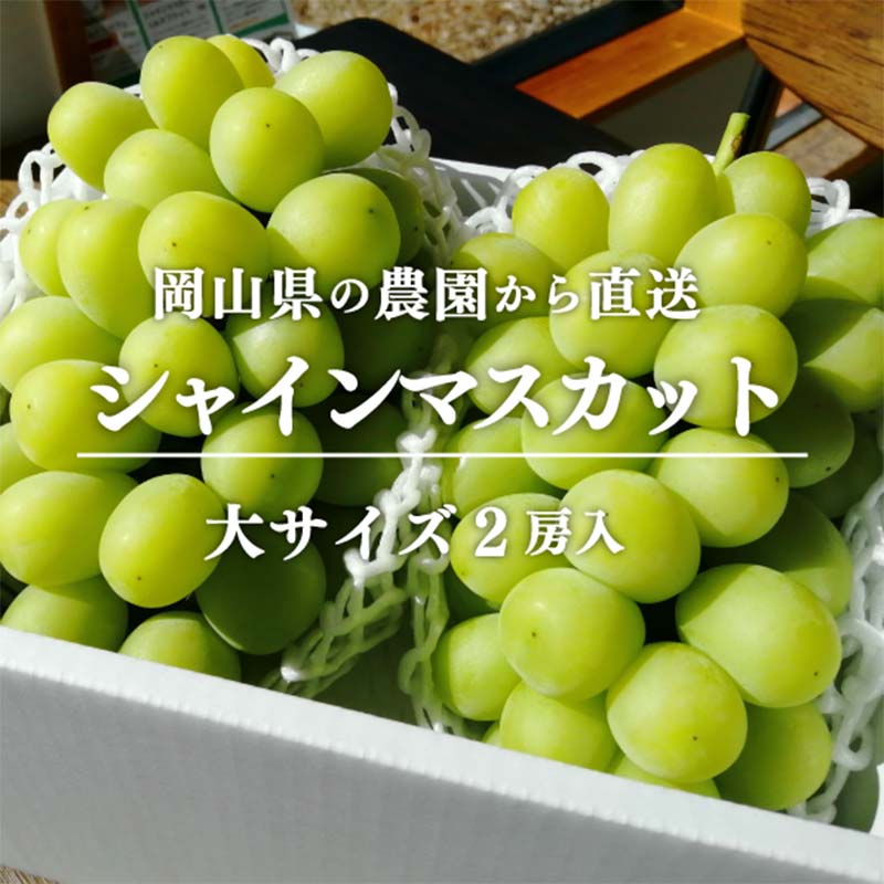 岡山県産 数量限定!こだわりのシャインマスカット 大サイズ2房入 マスカット ぶどう ブドウ 葡萄 デザート フルーツ 果物 くだもの 果実 食品 TY0-0809