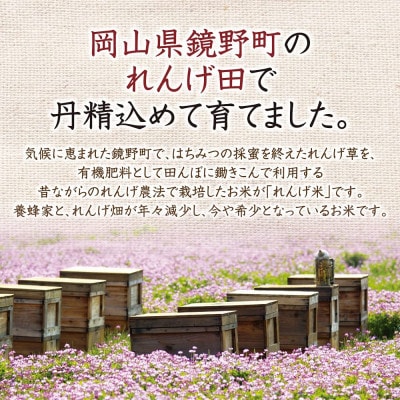 岡山県産　れんげ米(5kg入)(26552)【1030490】