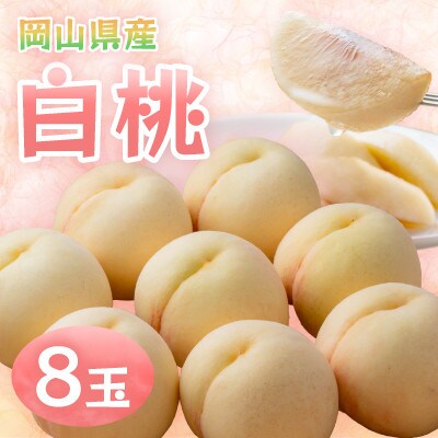 【2026年発送】岡山県産白桃　8玉・約2.0kg(クール便)【配送不可地域：離島】【1614349】