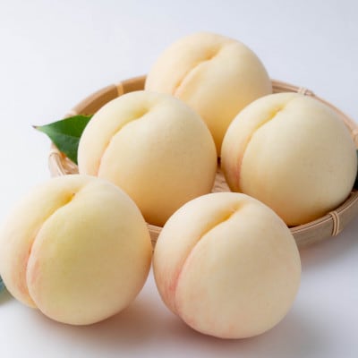 【2026年発送】ご家庭用　岡山の白桃(早生種)　約1.3kg(5〜6玉)【配送不可地域：離島】【1614302】