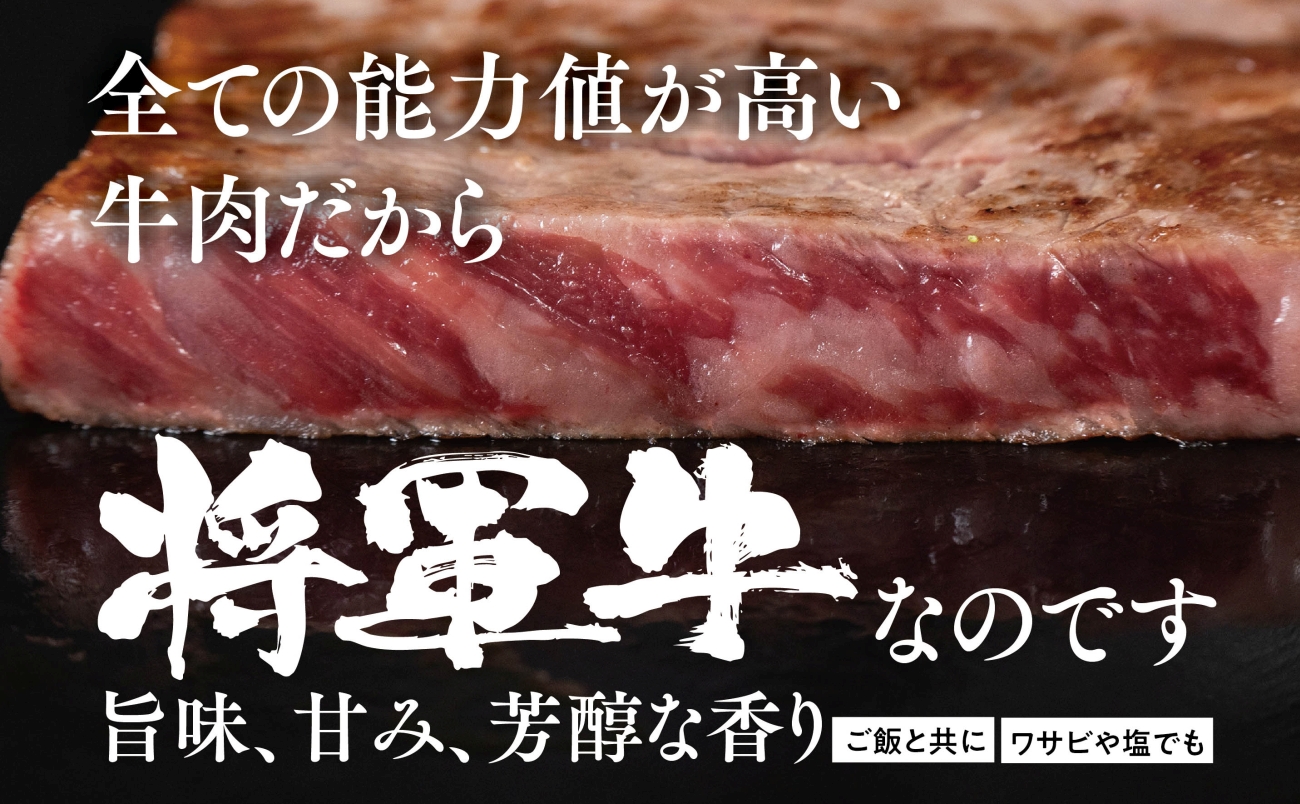 【将軍牛】特選ロースステーキ 500g【配送不可地域：離島・北海道・沖縄県】【1653402】