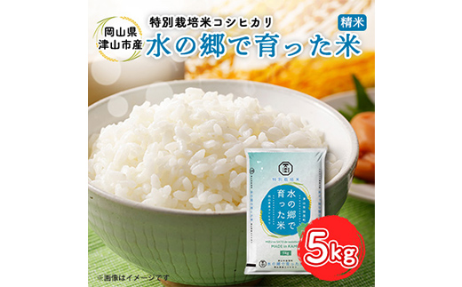 ＜岡山県津山市加茂町産＞水の郷で育った米5kg(特別栽培米コシヒカリ) TY0-0648