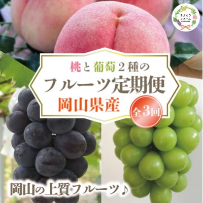 【発送月固定定期便】【2026年先行予約】桃、ピオーネ、シャインマスカット定期便 (岡山県産)全3回【配送不可地域：離島】【4078169】