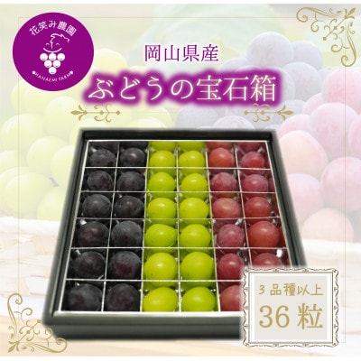 【2026年先行受付】岡山　花笑み農園『ブドウの宝石箱』3種以上(36粒入り)　3M-宝36【配送不可地域：離島・北海道・沖縄県】【1629381】