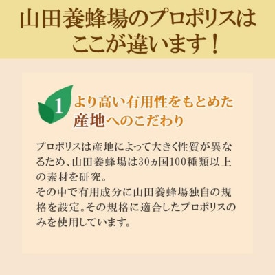 繝励Ο繝昴Μ繧ケ300 縲100逅 テ2陲九(48655)縲1701555縲