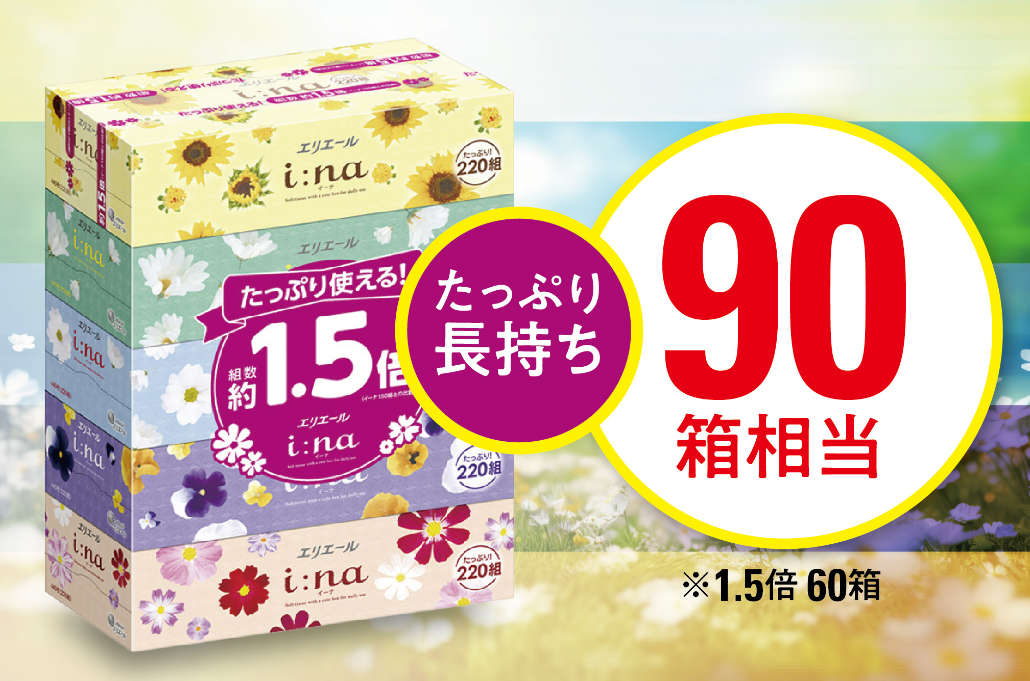 【津山工場限定】エリエール i:na(イーナ)ティシュー 220組5箱×12パック(60箱)【配送不可地域：離島・北海道・沖縄県】【1515019】