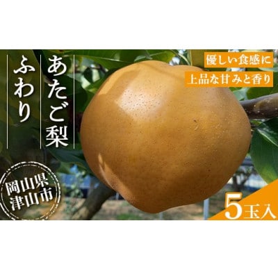 2026年11月下旬より順次発送予定　あたご梨 ふわり(5玉入り)【1626522】