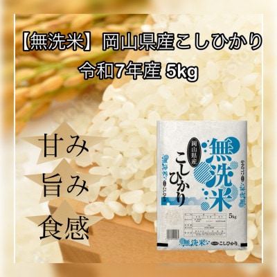 【無洗米】令和7年産 岡山県産 こしひかり 5kg【1717500】