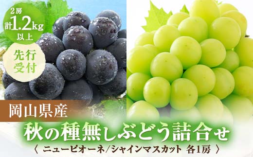 ◆先行受付◆　岡山県産　秋の種無しぶどう詰合せ　2024年発送 TY0-0045