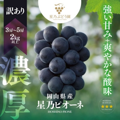 【訳あり】星乃ピオーネ 3房〜5房(2kg以上)【配送不可地域：離島】【1740016】