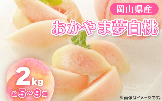 【2026年先行予約】2026年8月上旬頃より発送予定・岡山の白桃・おかやま夢白桃(2kg箱)【配送不可地域：離島】【1484603】