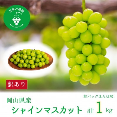 【2026年先行受付】岡山　花笑み農園の『訳ありシャインマスカット』1kg　WS-1【配送不可地域：離島・北海道・沖縄県】【1628321】