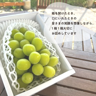 ãçºéæåºå®å®æäŸ¿ãã2026幎å
è¡äºçŽãã詊ã4å䟿è€çšã»ããªãŒãã»ã·ã£ã€ã³ã»çŽ«è /岡山ç£å
š4åãé
éäžå¯å°åïŒé¢å³¶ãã4077861ã